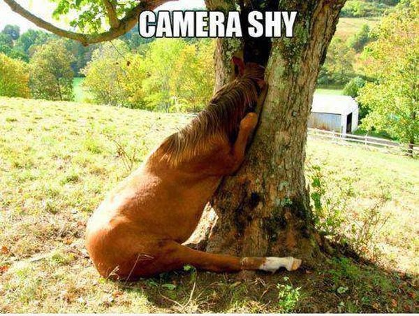 meme about being camera shy